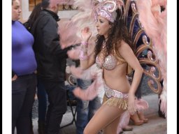 Carnaval de Mula 2014